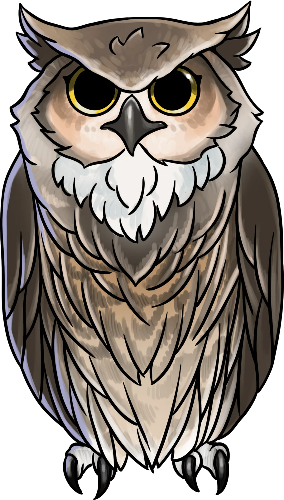 Owl